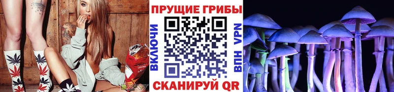 Псилоцибиновые грибы мицелий  Буй 