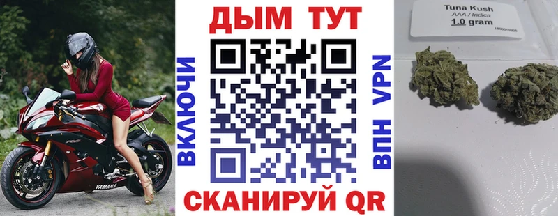 купить   Буй  Каннабис Ganja 